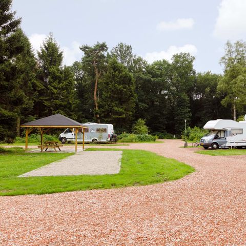 Kampeerplaats - RCN de Roggeberg | Camperplaats (inclusief 2 personen)