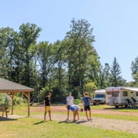 Kampeerplaats - RCN de Roggeberg | Camperplaats (inclusief 2 personen)