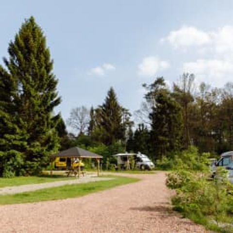 Kampeerplaats - RCN de Roggeberg | Camperplaats (inclusief 2 personen)