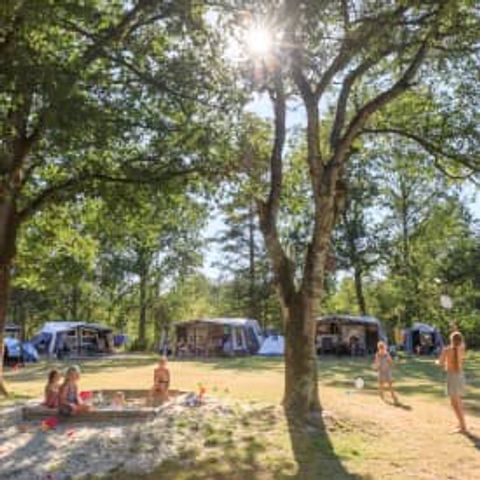 Kampeerplaats - Standaard