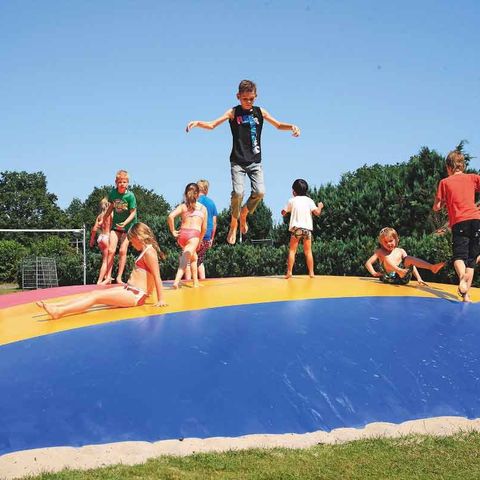 Vakantiepark De Lindenberg - Camping Rijssen-Holten - Afbeelding N°2