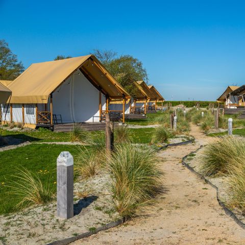 Tent 4 personen - Glamping
