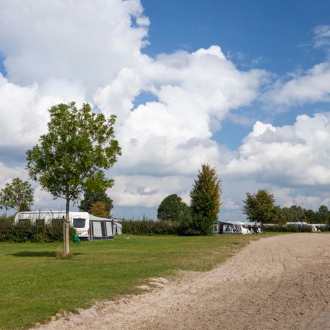 PARCELA - Campo de confort