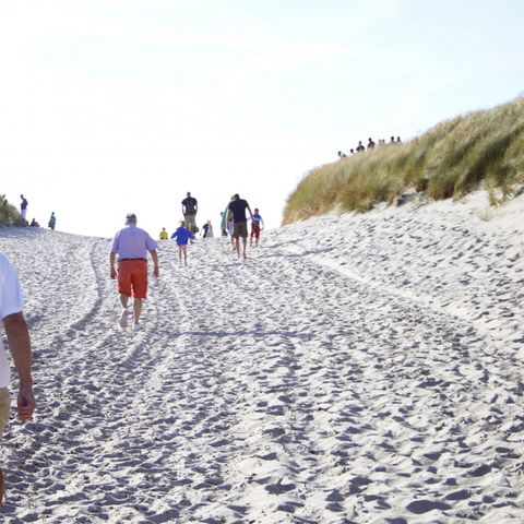 Résidence Terschelling - Camping Terschelling - Image N°3