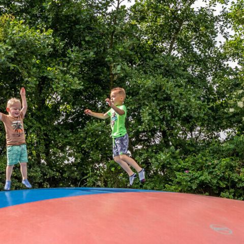 Résidence Terschelling - Camping Terschelling - Image N°5