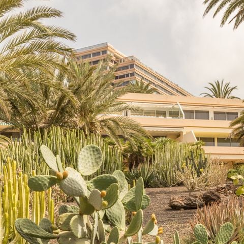 Pierre & Vacances Residence Marazul del Sur Pierre & Vacances Residence Marazul del Sur - Camping Iles Canaries - Image N°2