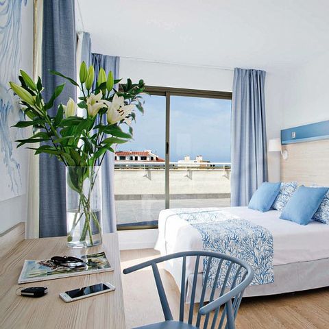 Slaapkamer 4 personen - Hotelkamer Standard C4 3+1