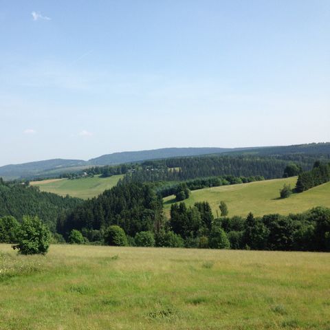 APPARTAMENTO 5 persone - accogliente sulla pista ski-in ski-out