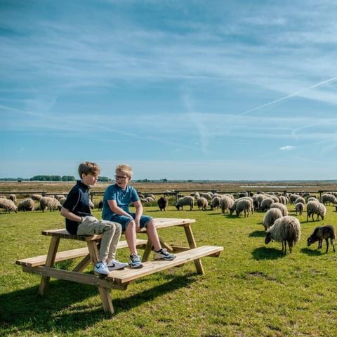 STAANPLAATS - Comfort privésanitair