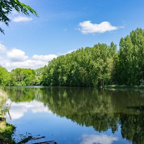 EMPLACEMENT - Aire de camping-car « Comfort L » au bord de l'eau