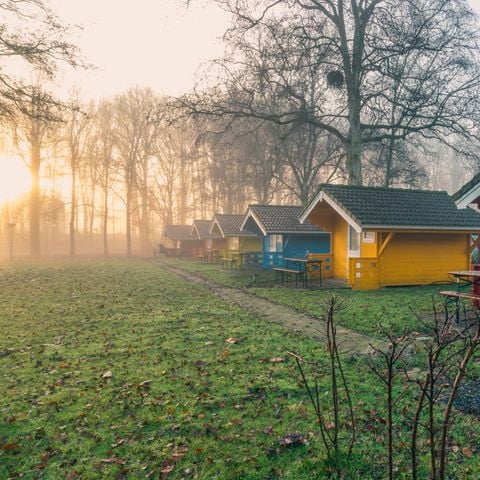 EuroParcs Het Amsterdamse Bos - Camping Amsterdam - Image N°4