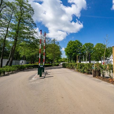 EuroParcs Het Amsterdamse Bos - Camping Amsterdam - Image N°2