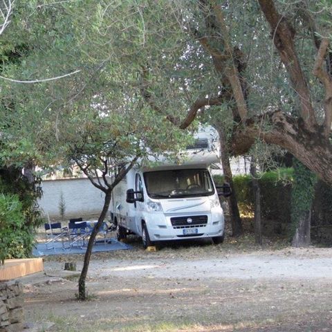 Pitch - WITH PRIVATE BATHROOM