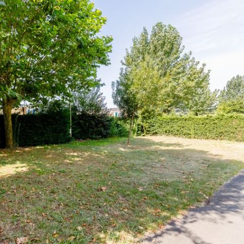 STAANPLAATS - Kaal veld