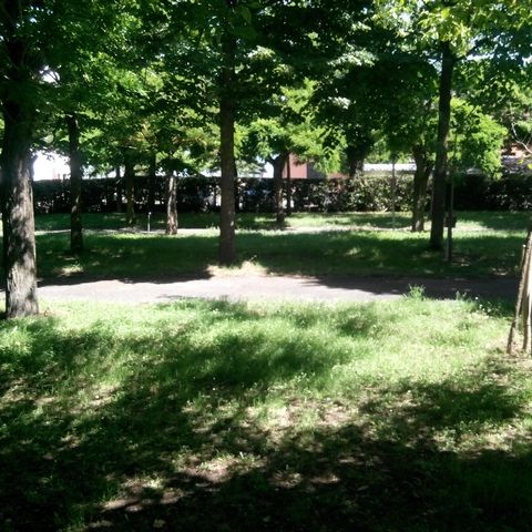 Pitch - Tent or caravan - standard