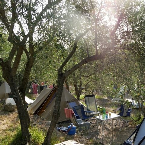 Kampeerplaats - Familie tent