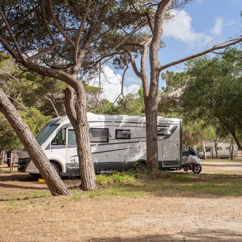 Kampeerplaats - tent of camper met elektriciteit