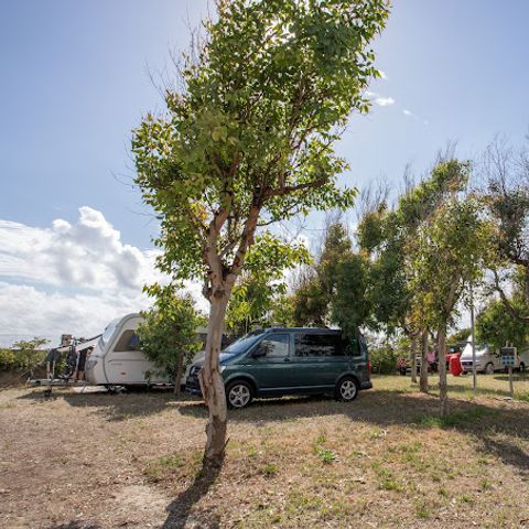Kampeerplaats - 2-zits tent