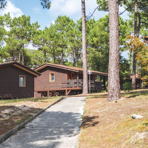 Chalet 6 personen (Logies en Ontbijt)