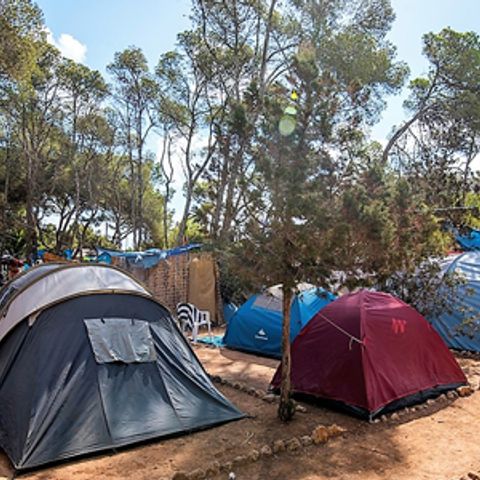 Kampeerplaats - Geel - kleine tent - 25m2