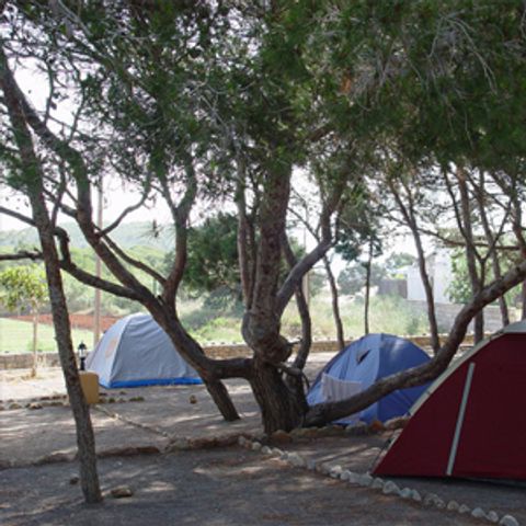 Kampeerplaats - Groen - kleine tent - 25m2 (beste plaats)