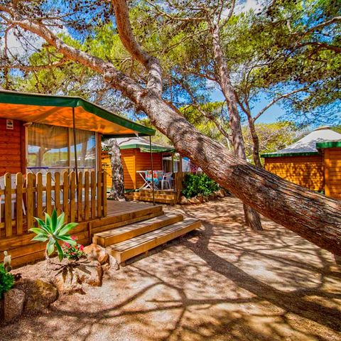 Bungalow 4 personen - Comfort