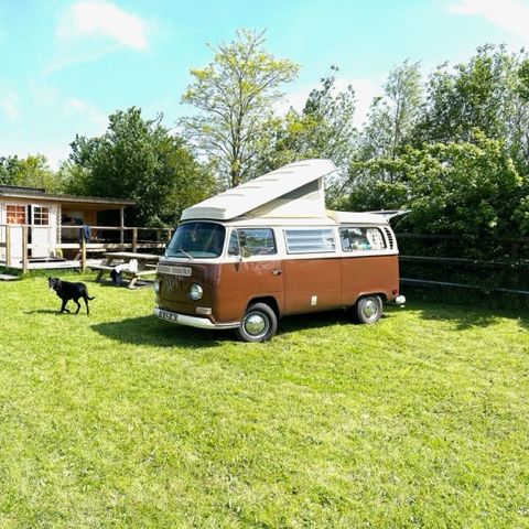 PLOT - on 2100 m2 of lawn