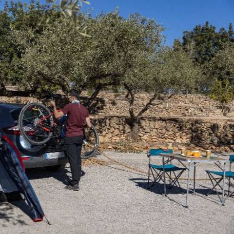 PIAZZOLA - Parcela Basic