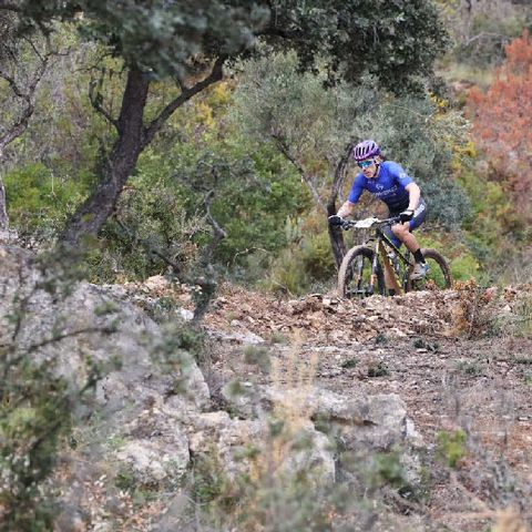 Stellplatz - Parcela Basic