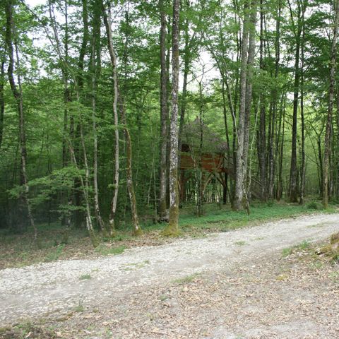 Accommodatie 4 personen - Cabane aux Fées (16 m²)