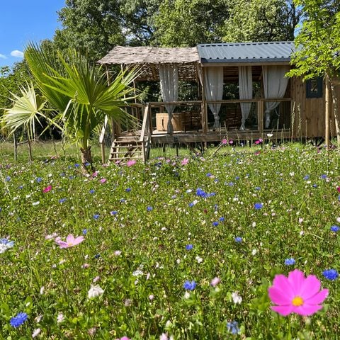 Lodge 2 personnes - Cabane duo - SPA - 17 m² - 1 chambre