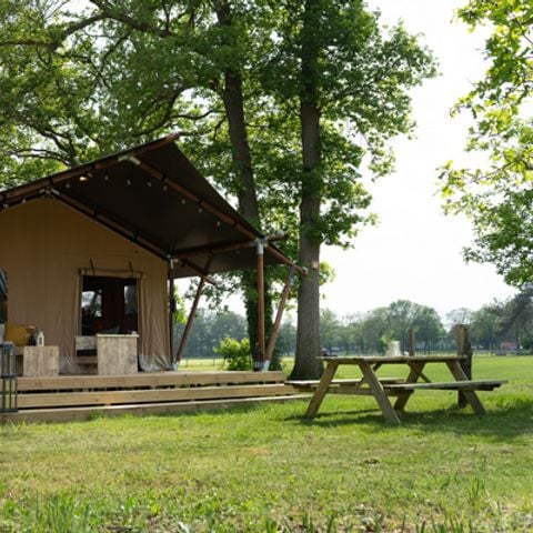Accommodatie 7 personen - Safari Lodge tent (38 m² - 3 sl.k.)