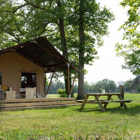 Allogi 7 persone - Tenda Safari Lodge (38 m² - 3 posti letto)