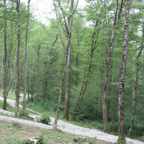 Accommodatie 2 personen - Kota duo (12 m2)