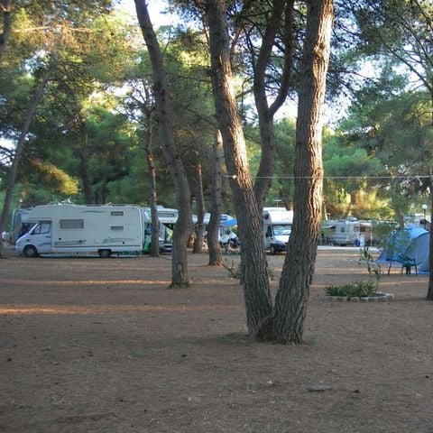 Stellplatz - Campervan/Wohnwagen