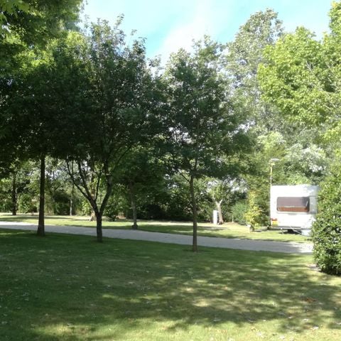 Stellplatz - PREMIUM (+180m²)