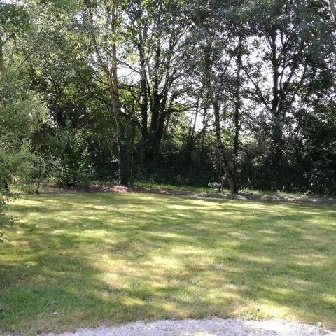 Kampeerplaats - PREMIUM standplaats (+180m²) 2/10 pers
