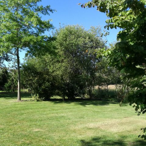 Stellplatz - CONFORT (120 bis 155m²) 2 Pers. + Auto + Strom