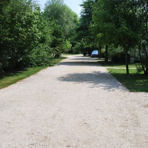 Pitch - COMFORT (120 to 155m²) 2 pers + car + electricity