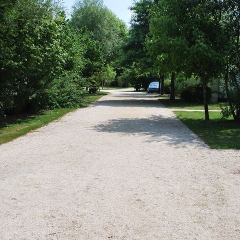 Stellplatz - Stellplatz CONFORT (120 bis 155m²) 2 Pers. + Auto + Strom 1/8 Pers.