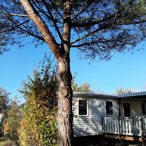 BUNGALOW 6 personnes - CONFORT 3 ch 6 pers