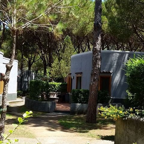 APARTMENT 5 people - Trilocale