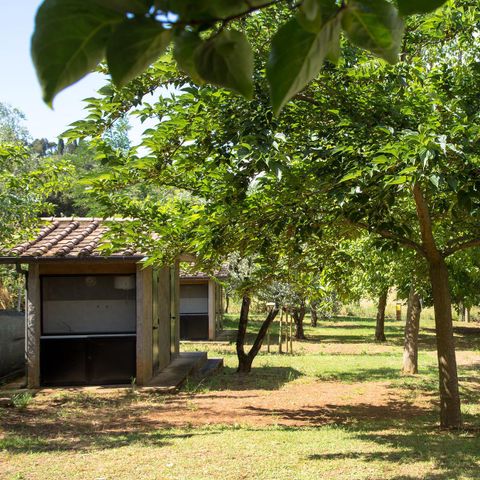 Stellplatz - Stellplatz: Auto + Zelt/Wohnwagen oder Wohnmobil + Strom + private Sanitäranlagen
