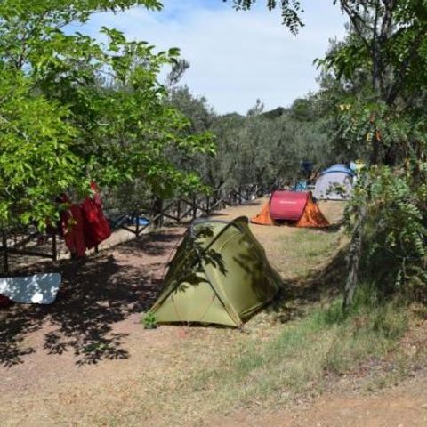 PARCELA - Ubicación (carpa canadiense)