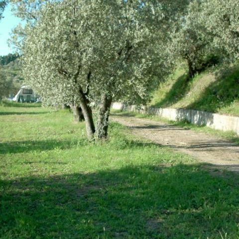 PLOT - Location (Canadian tent)