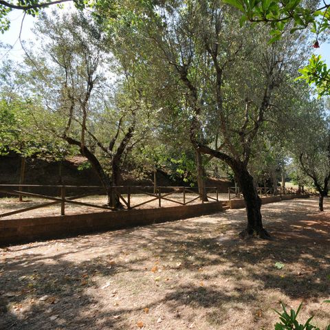 STAANPLAATS - Middelgrote standplaats: auto of motor + tent/caravan of camper + elektriciteit