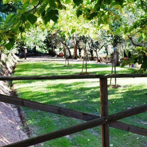 PLOT - Medium Comfort pitch: car or motorbike + tent/caravan or motorhome + electricity