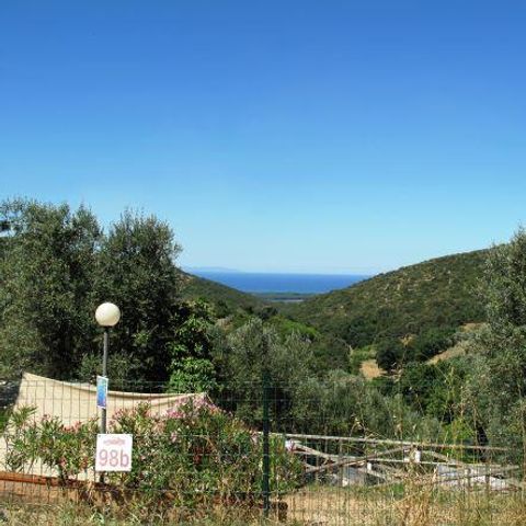 PLOT - Medium Panoramica pitch: car or motorbike + tent/caravan or motorhome + electricity