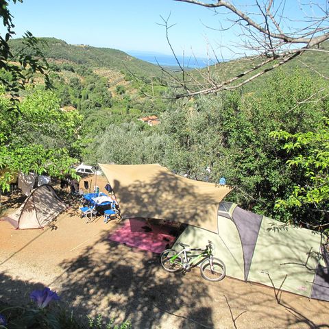 PLOT - Large pitch: car or motorbike + tent/caravan or camper van + electricity