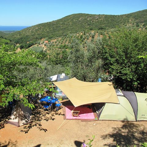 PLOT - Large pitch: car or motorbike + tent/caravan or camper van + electricity